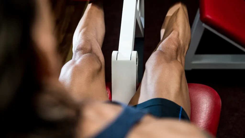 Cronograma de treino academia masculino Cronograma de treino academia masculino
