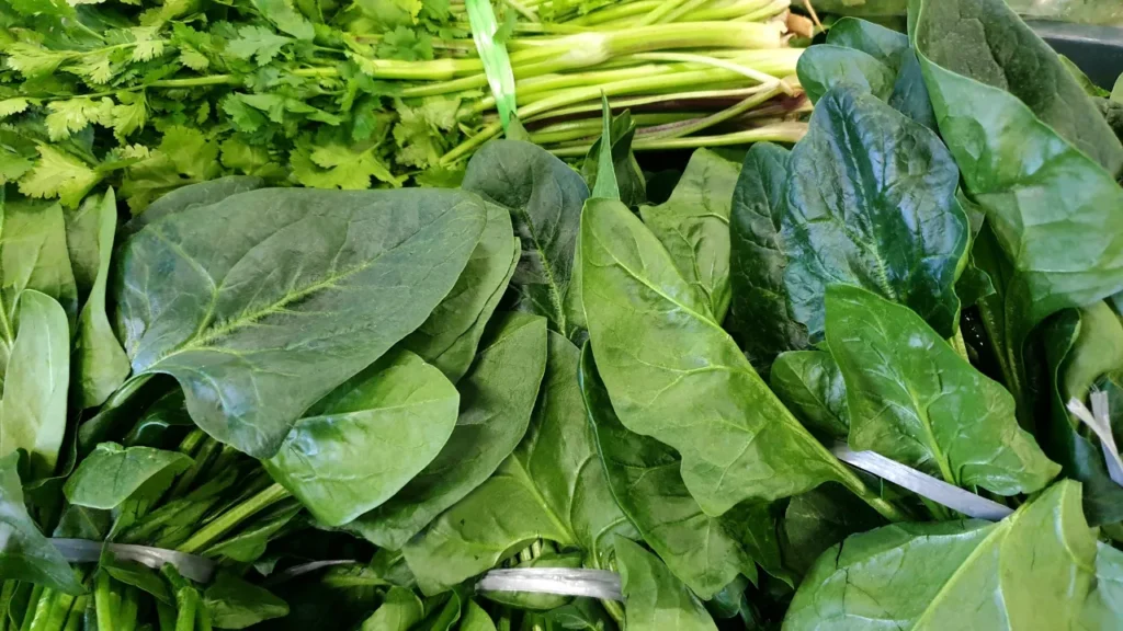 Como a alimentação pré treino de musculação