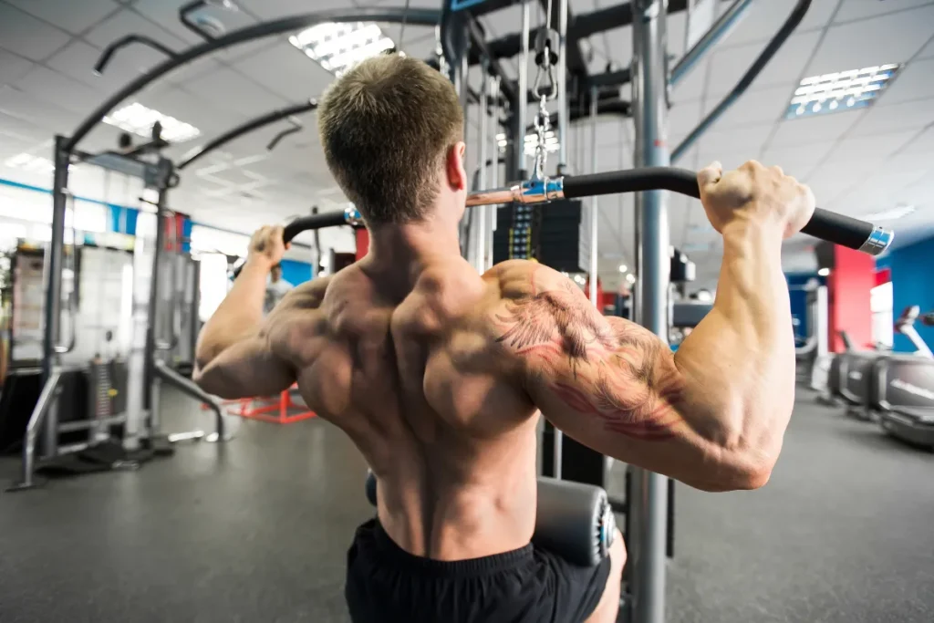 Plano de treino musculação